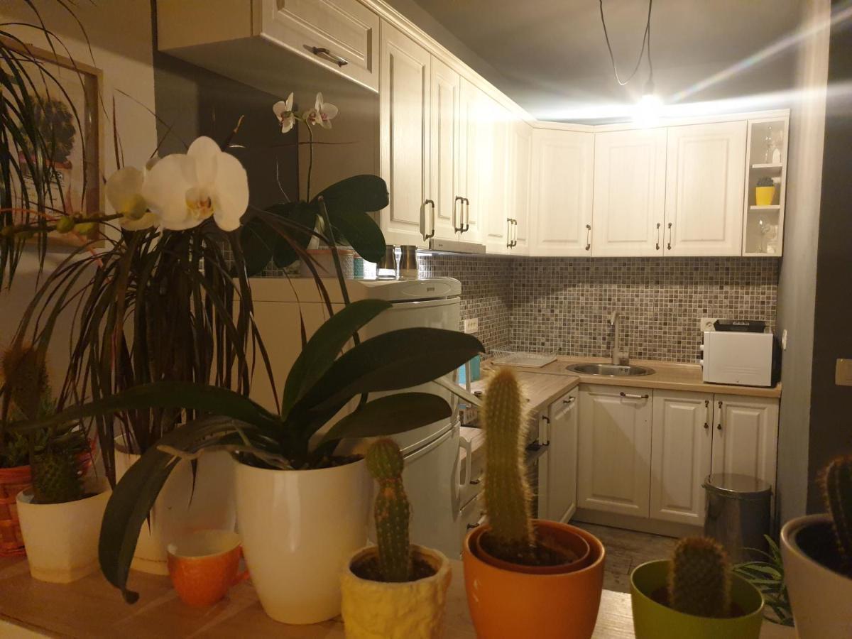 Apartmani Desancic Bar Zewnętrze zdjęcie