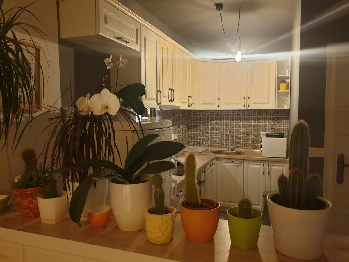 Apartmani Desancic Bar Zewnętrze zdjęcie