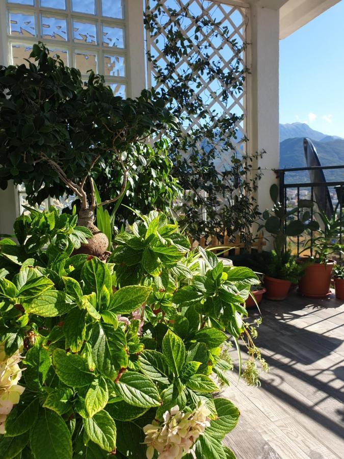 Apartmani Desancic Bar Zewnętrze zdjęcie