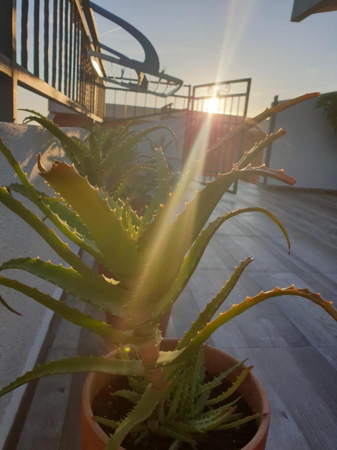 Apartmani Desancic Bar Zewnętrze zdjęcie